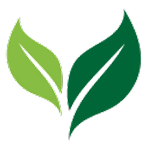 footer image